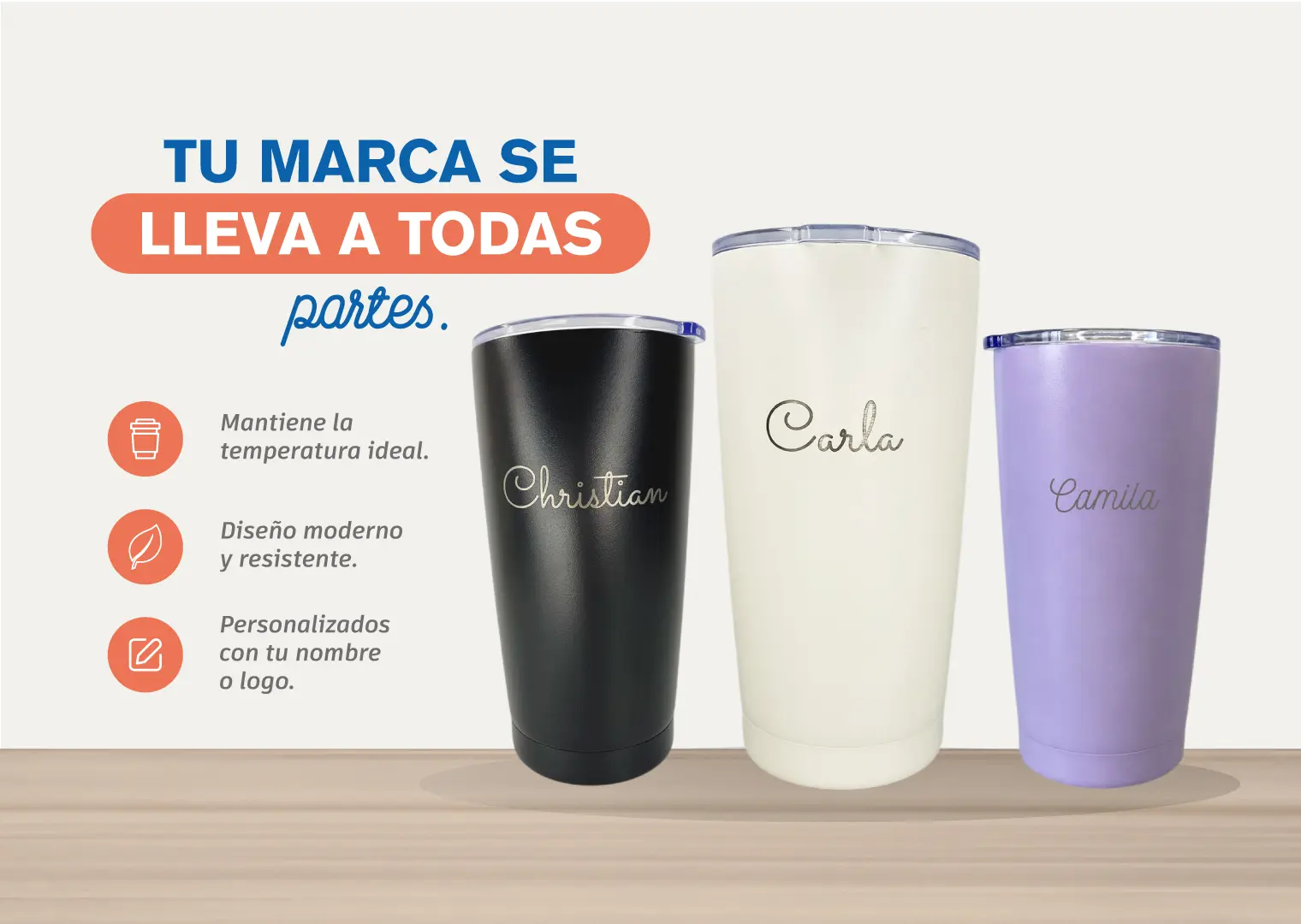 CIAME Insumos - Slide 3